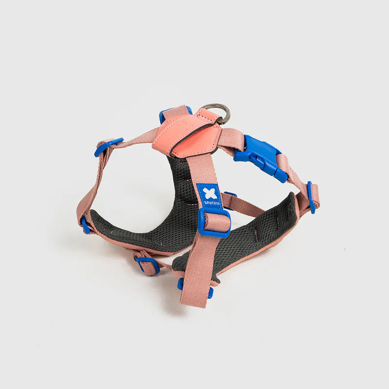 Petizen 10th Anniversary dog harness Singapore - limited edition walk gear - colour options
