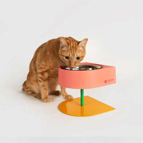 10TH YEAR -NON-ANTS Bowl (High)