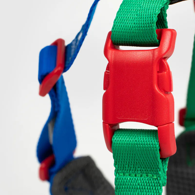 10TH YEAR_Harness