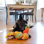 Barking Brunch Collection - Petisan