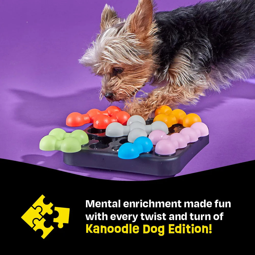 Kanoodle Dog Edition Small treat puzzle toy Singapore by Brightkins - lifestyle