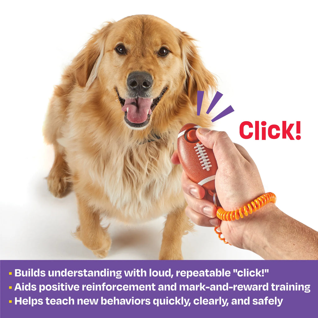 Smarty Pooch dog training clicker Singapore - obedience training tool - side view