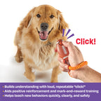 Smarty Pooch dog training clicker Singapore - obedience training tool - side view