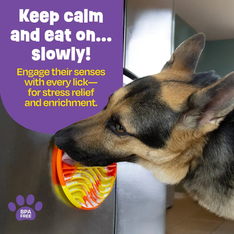 Tie Dye Circle Lick Mat