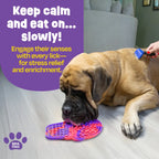 Pup Cone ice cream lick mat slow feeder for dogs Singapore by Brightkins - side view