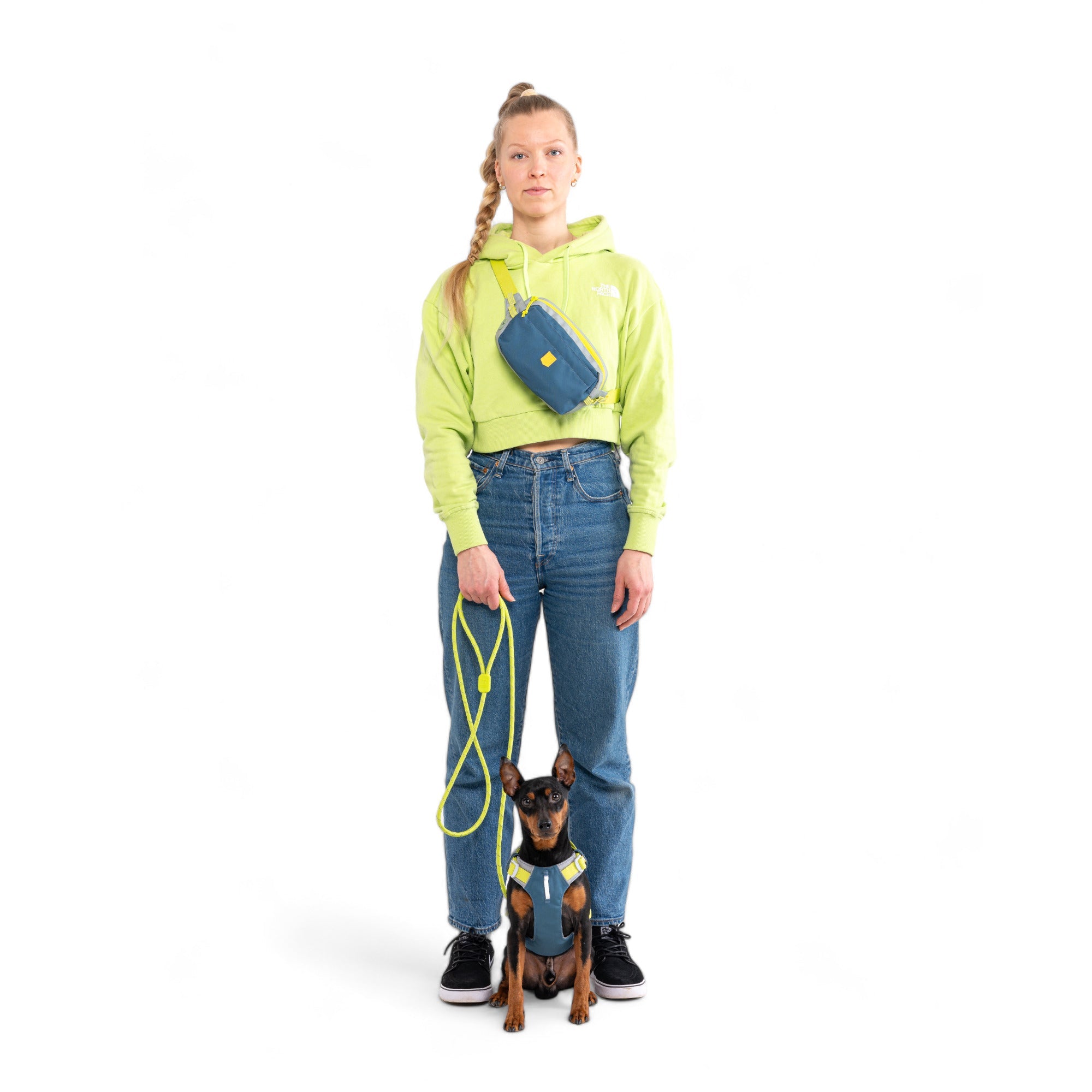 Woolly Wolf Alpha 360 Dog Harness Deep Teal