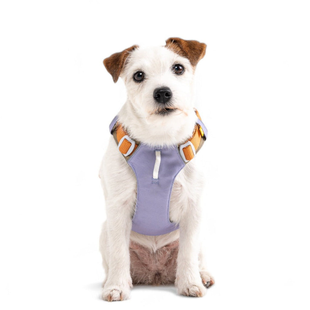 Woolly Wolf Alpha 360 Dog Harness Lavender