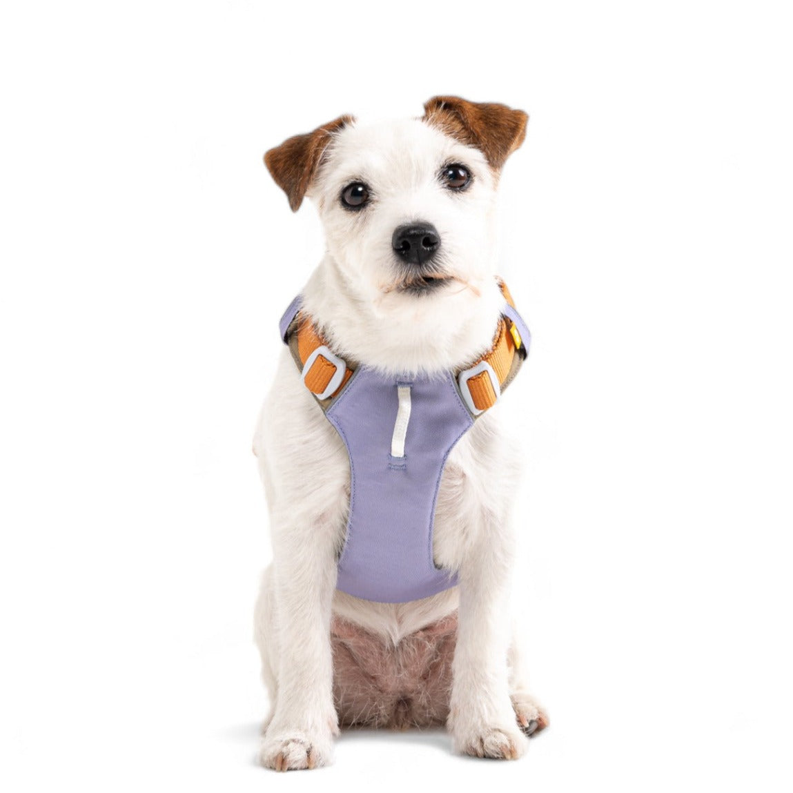 Woolly Wolf Alpha 360 Dog Harness Lavender