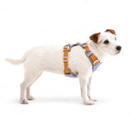 Woolly Wolf Alpha 360 Dog Harness Lavender