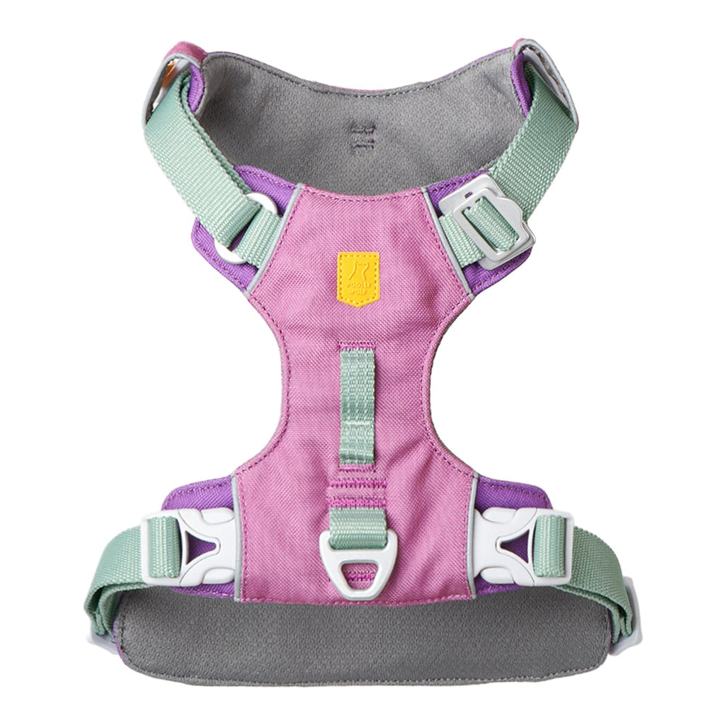Woolly Wolf - Harness & Leash for Dogs