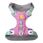 Woolly Wolf - Harness & Leash for Dogs