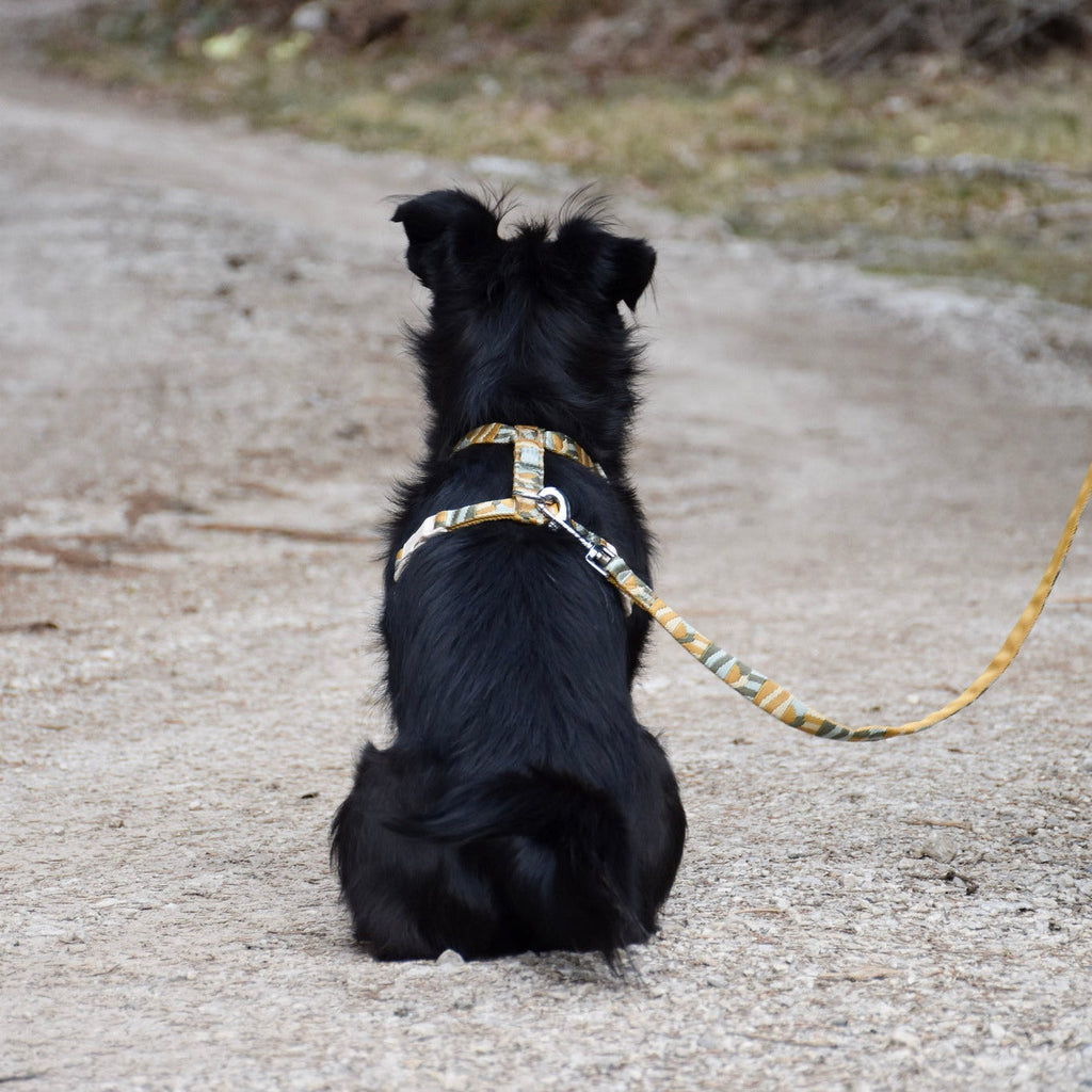 Woolly Wolf Cloudbeam Dog Leash