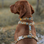 Woolly Wolf Cloudbeam Dog Harness