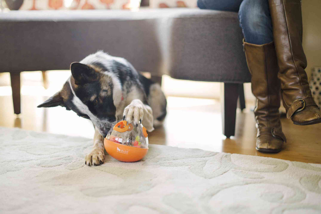 Dog enrichment wobble ball treat dispenser toy Singapore by Brightkins - features