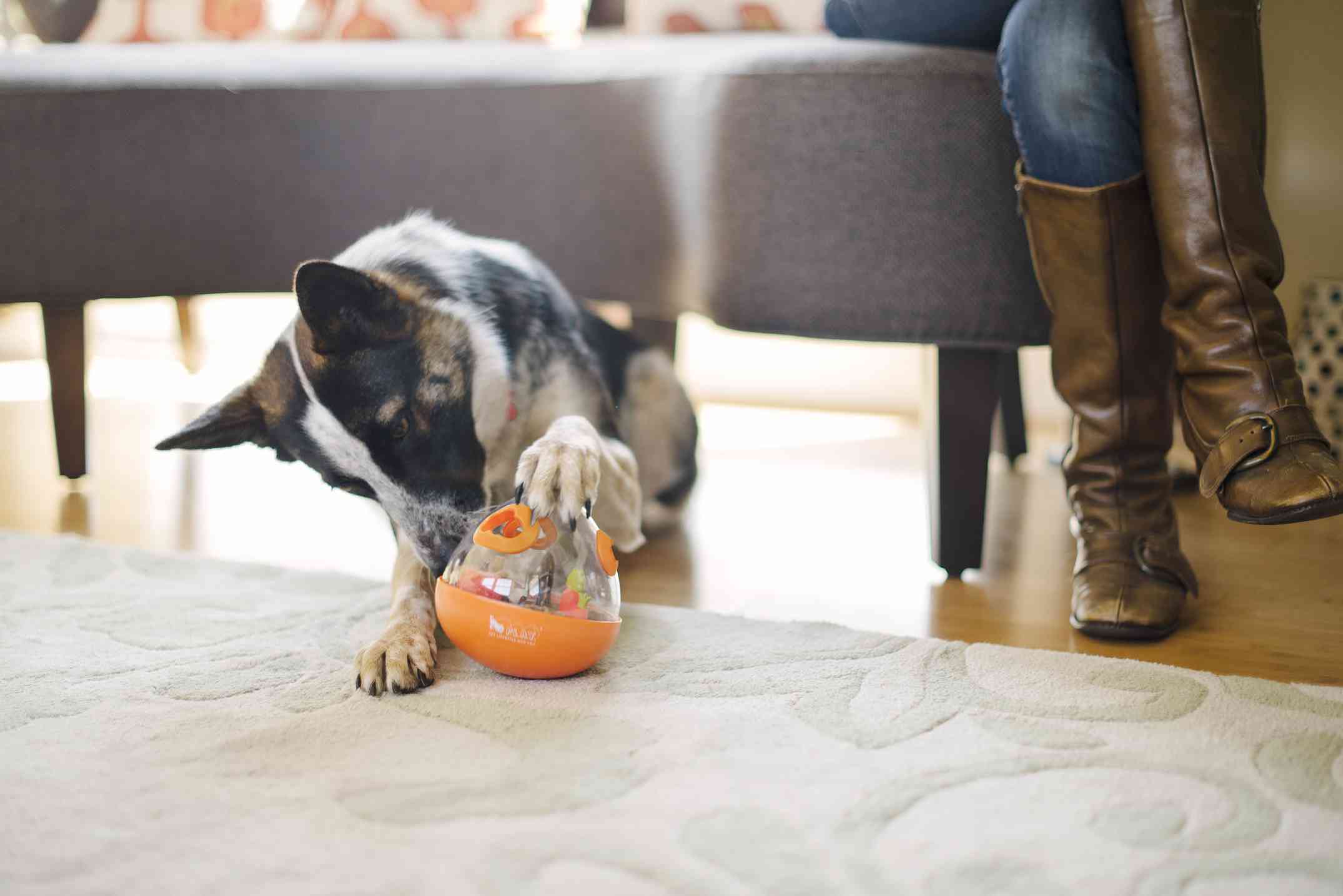 Dog enrichment wobble ball treat dispenser toy Singapore by Brightkins - features