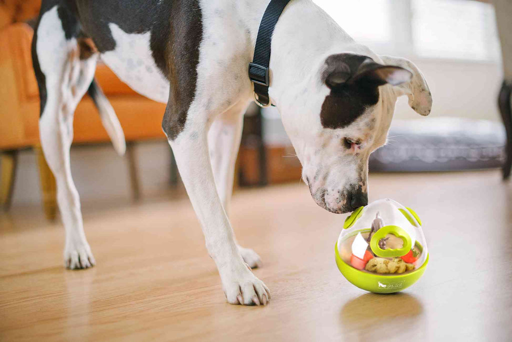 Dog Enrichment Toy - Wobble Ball