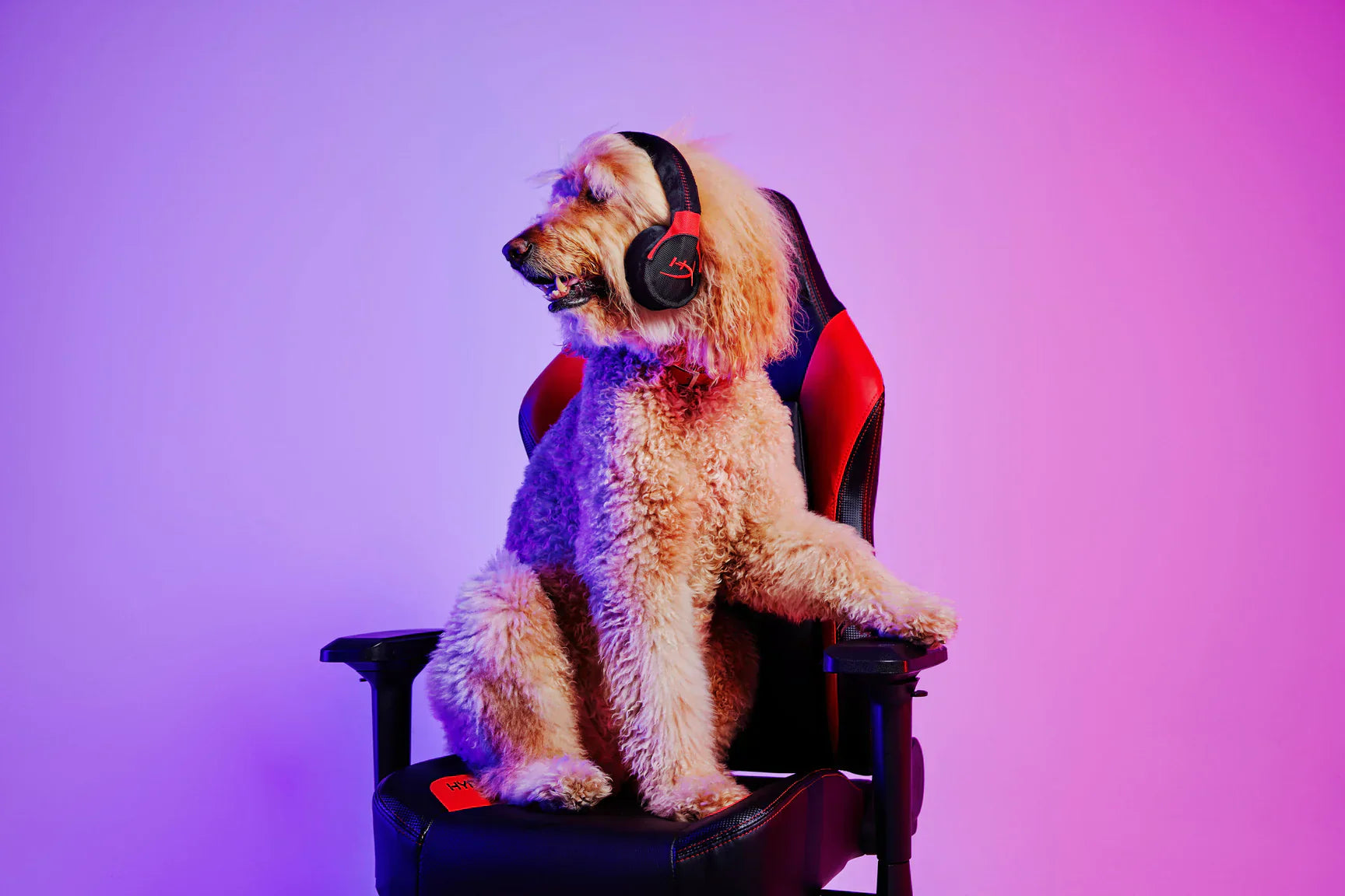 P.L.A.Y. x HyperX Headphone gaming dog plush toy Singapore - side view
