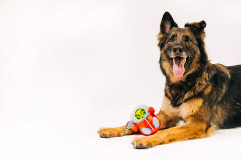 Dog Plush Toy - Alien Buddies