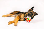 P.L.A.Y. Alien Buddies dog plush toy collection Singapore - space squeaky toys - detail view