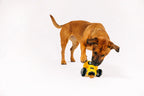 P.L.A.Y. Alien Buddies dog plush toy collection Singapore - space squeaky toys - features