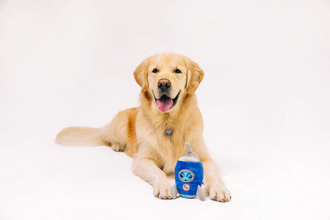 Dog Plush Toy - Alien Buddies