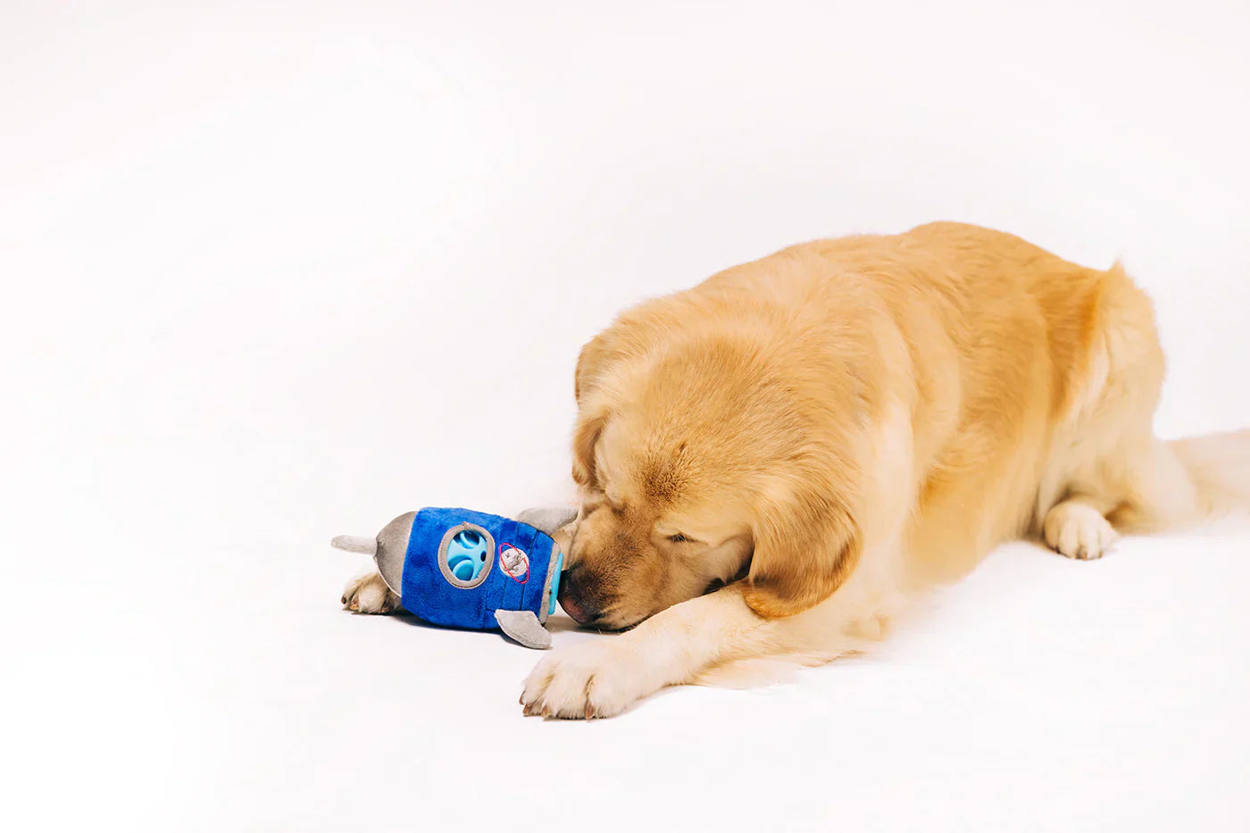 Dog Plush Toy - Alien Buddies