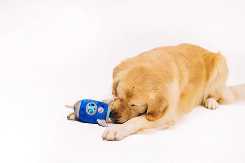 Dog Plush Toy - Alien Buddies