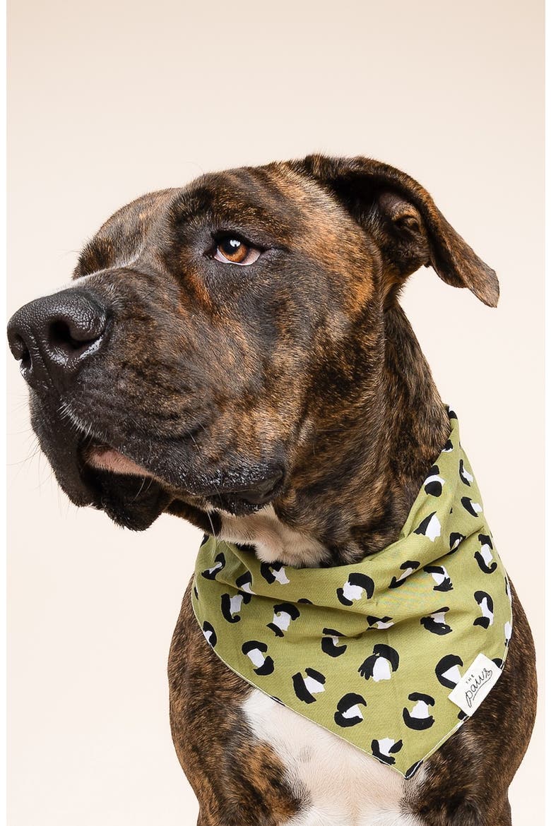 The Paws stylish dog bandana Singapore - pet neck scarf by Petizen - packaging