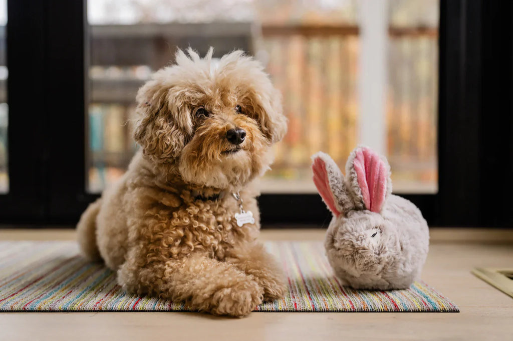 P.L.A.Y. Forest Friends dog plush toy collection Singapore - lifestyle