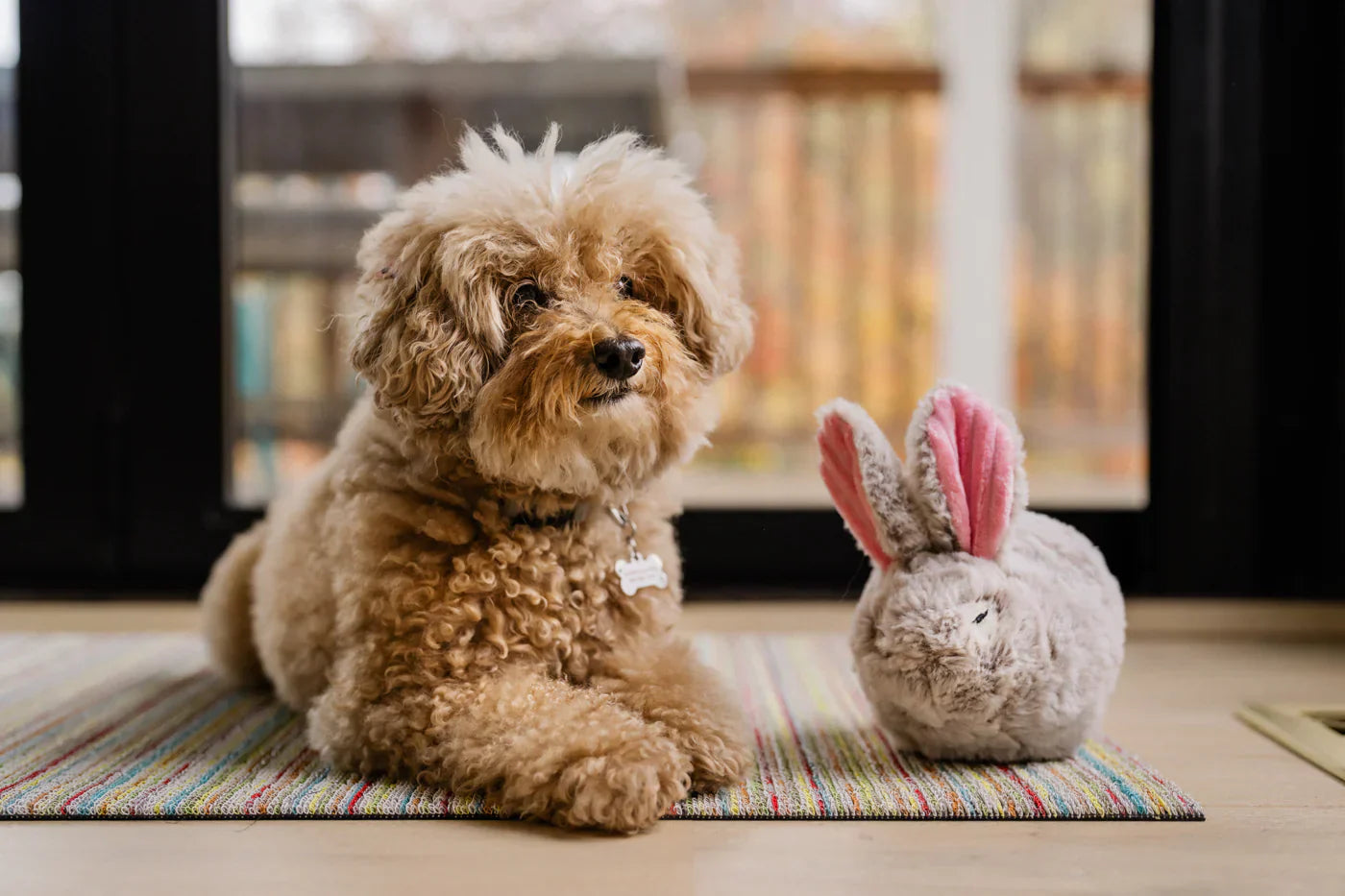 P.L.A.Y. Forest Friends dog plush toy collection Singapore - lifestyle