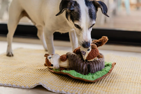 Dog Plush Toy - Forest Friends Collection