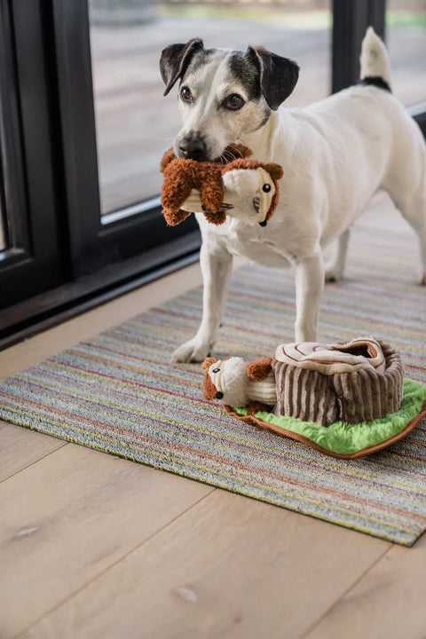 Dog Plush Toy - Forest Friends Collection