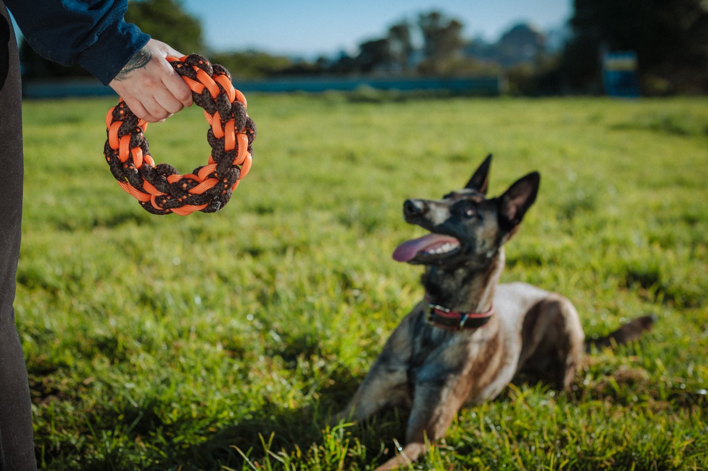 P.L.A.Y. NovaRope ring tug dog toy Singapore - durable rope ring toy - detail view