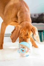 Dog Enrichment Toy - Wobble Ball