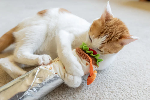 Feline Frenzy shrimp purrito cat kicker toy Singapore - catnip filled - side view