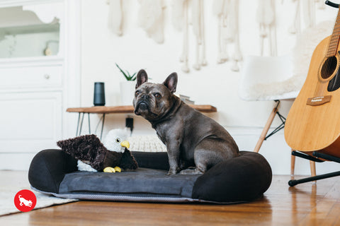 Dog Plush Toy -  Fetching Flock Collection