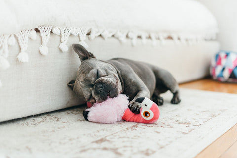 Dog Plush Toy -  Fetching Flock Collection