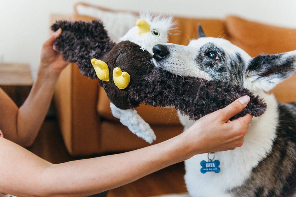 P.L.A.Y. Fetching Flock bird dog plush toy collection Singapore - size comparison