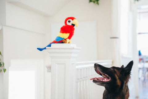 Dog Plush Toy -  Fetching Flock Collection