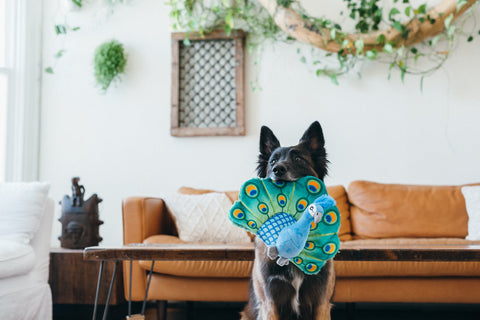 Dog Plush Toy -  Fetching Flock Collection