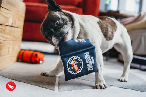 Globetrotter Collection - Petisan