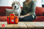 P.L.A.Y. Globetrotter travel dog plush toy collection Singapore - packaging
