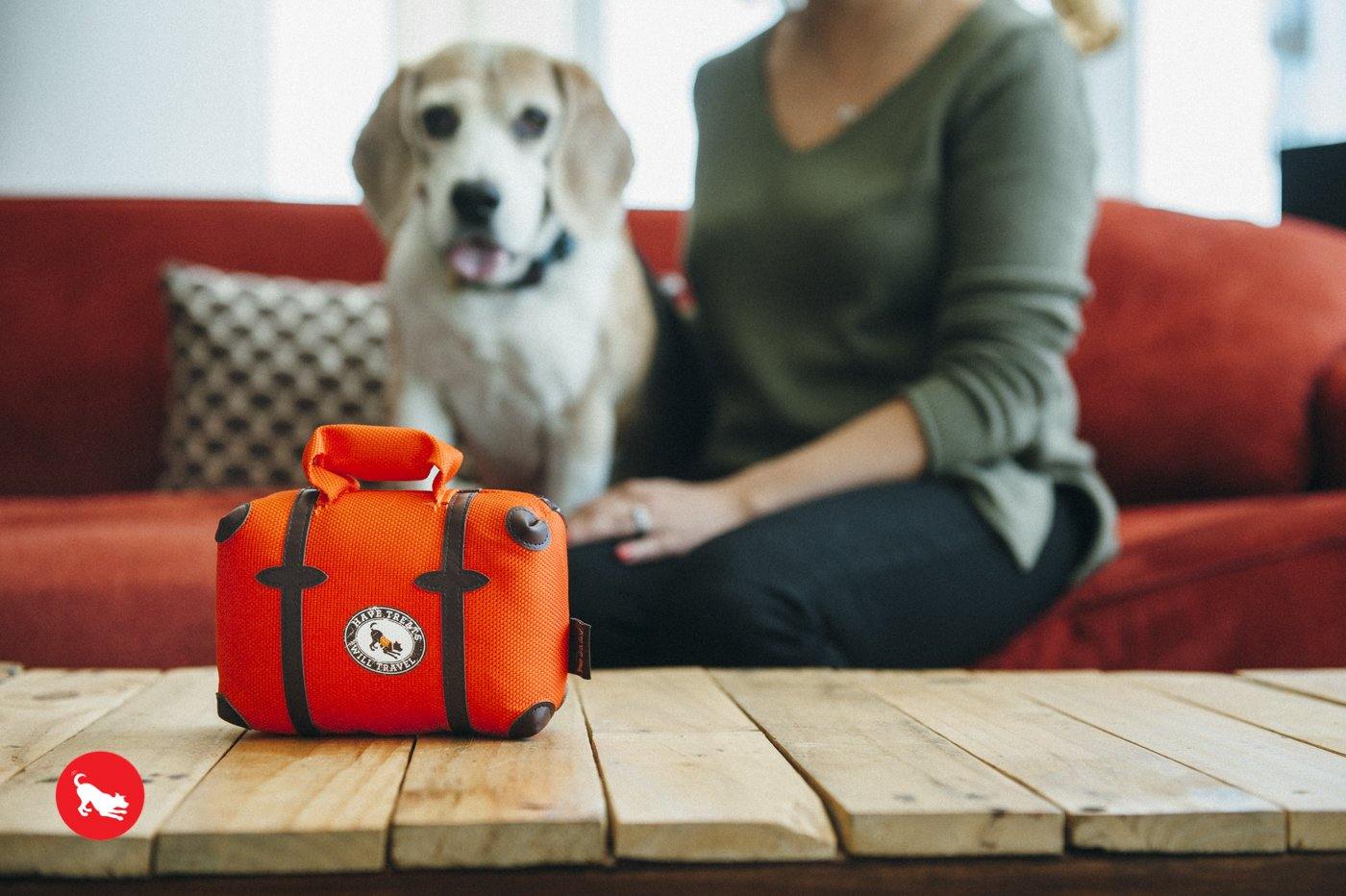 P.L.A.Y. Globetrotter travel dog plush toy collection Singapore - packaging