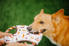 Dog flying disc frisbee fetch toy Singapore - outdoor toy by Petizen - side view