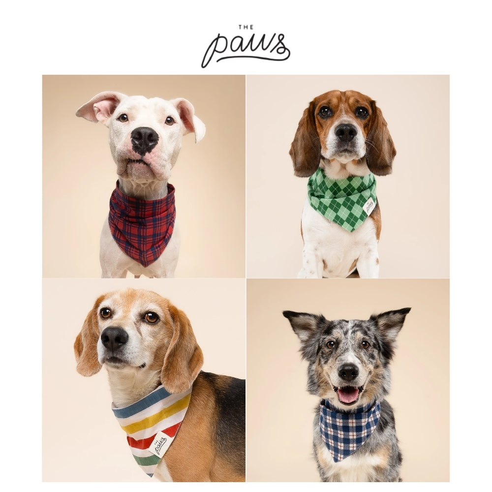 The Paws stylish dog bandana Singapore - pet neck scarf by Petizen