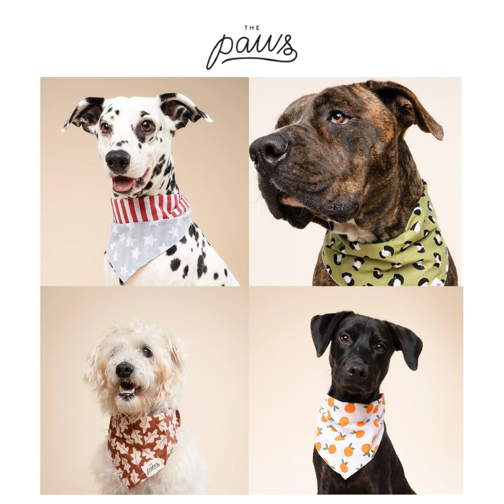 The Paws stylish dog bandana Singapore - pet neck scarf by Petizen - side view