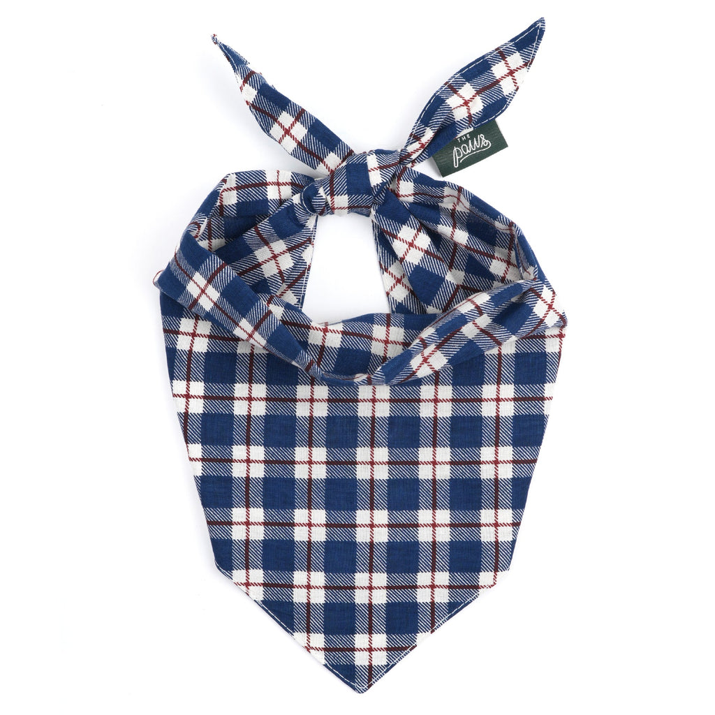 The Paws stylish dog bandana Singapore - pet neck scarf by Petizen - product overview