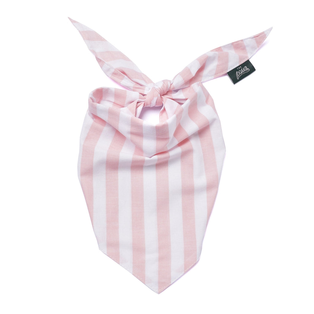 The Paws Dog Bandana