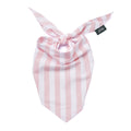 The Paws Dog Bandana