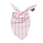 The Paws Dog Bandana